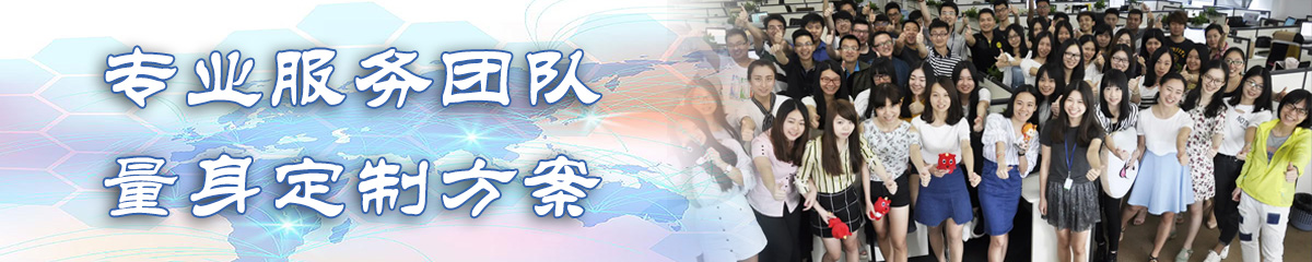 保定BI软件